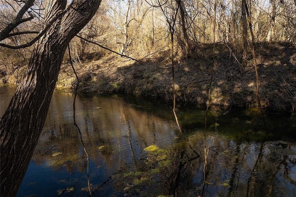 25.56 acres in Lavaca County - photo 4