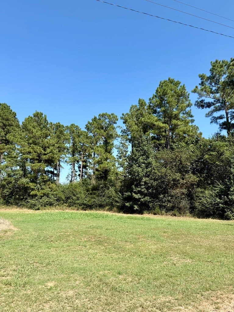123.69 acres in Texas County - photo 9