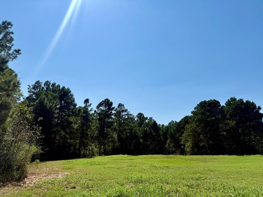 123.69 acres in Texas County - photo 12