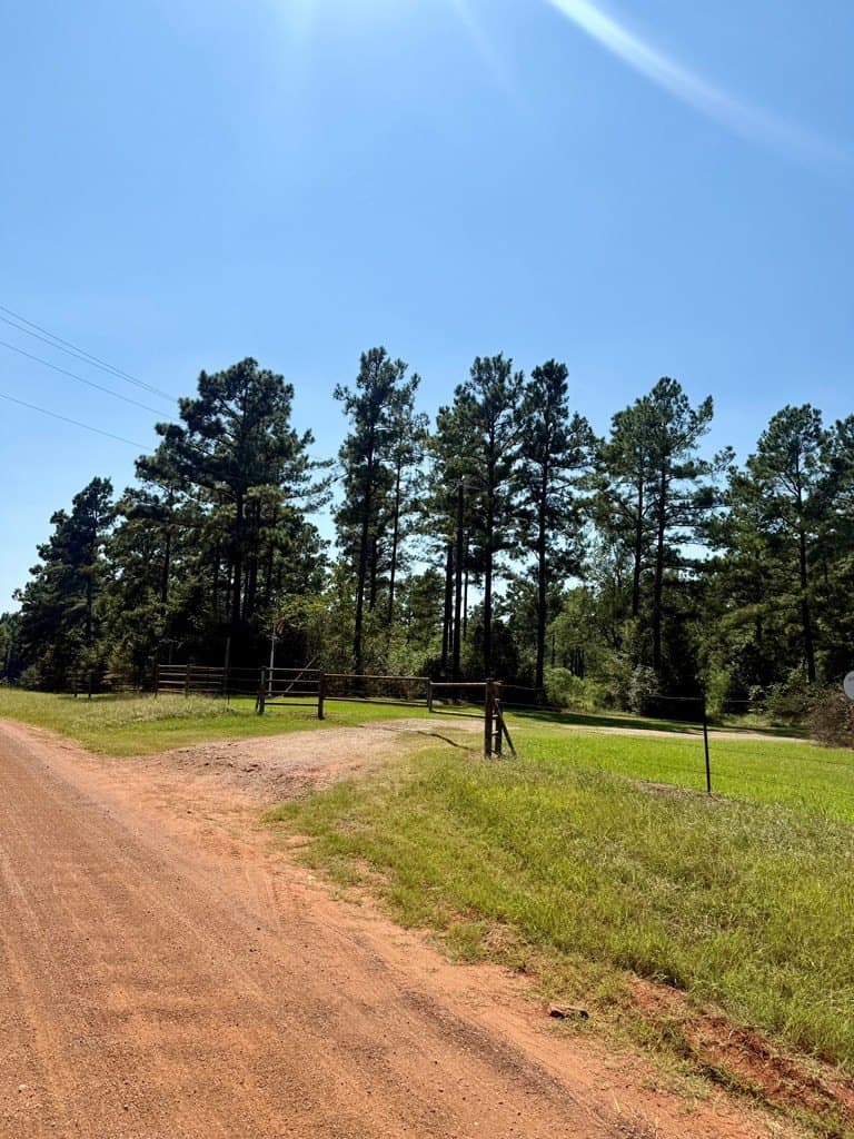 123.69 acres in Texas County - photo 14