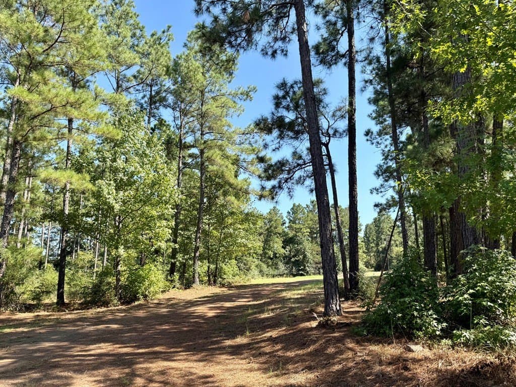 123.69 acres in Texas County - photo 11