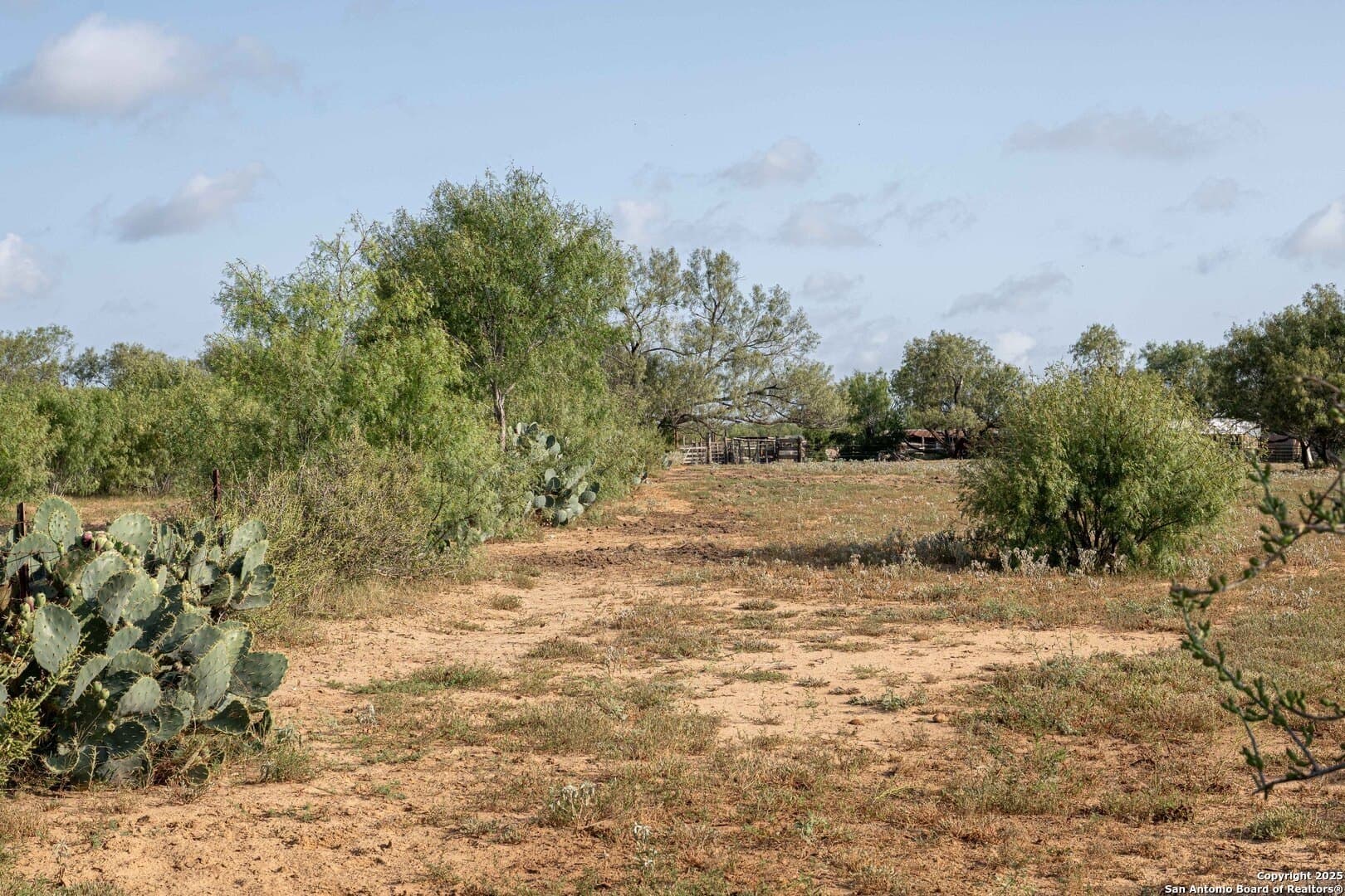 0 acres in Bexar County - photo 6