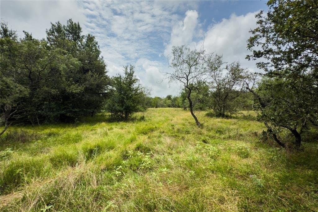 2.21 acres in Falls County - photo 11