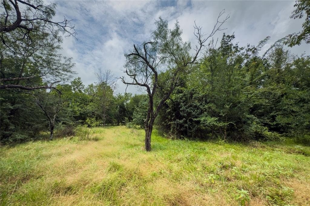 2.21 acres in Falls County - photo 15