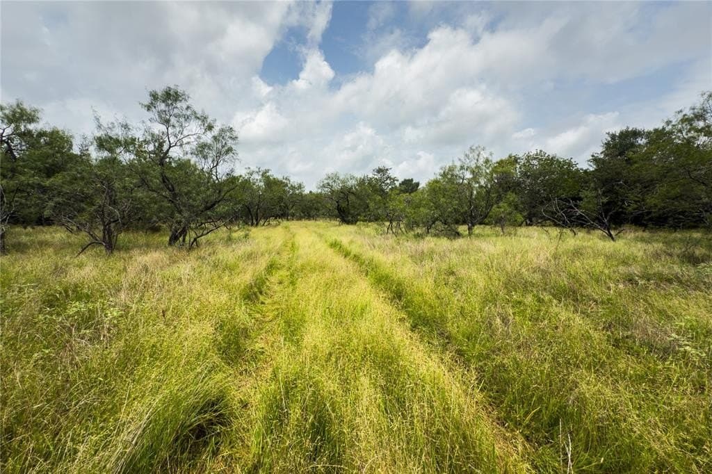 2.21 acres in Falls County - photo 4