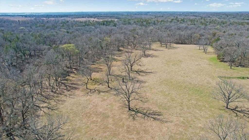 322.62 acres in Fannin County - photo 34