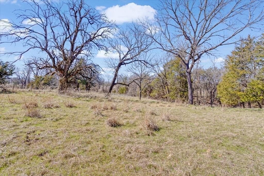 322.62 acres in Fannin County - photo 12