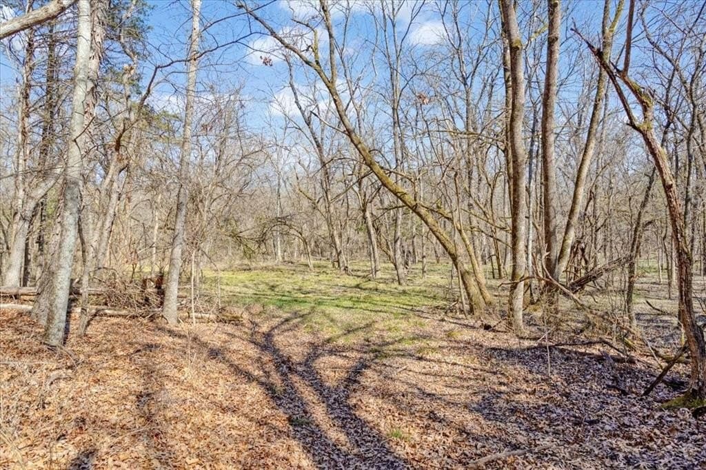 322.62 acres in Fannin County - photo 13