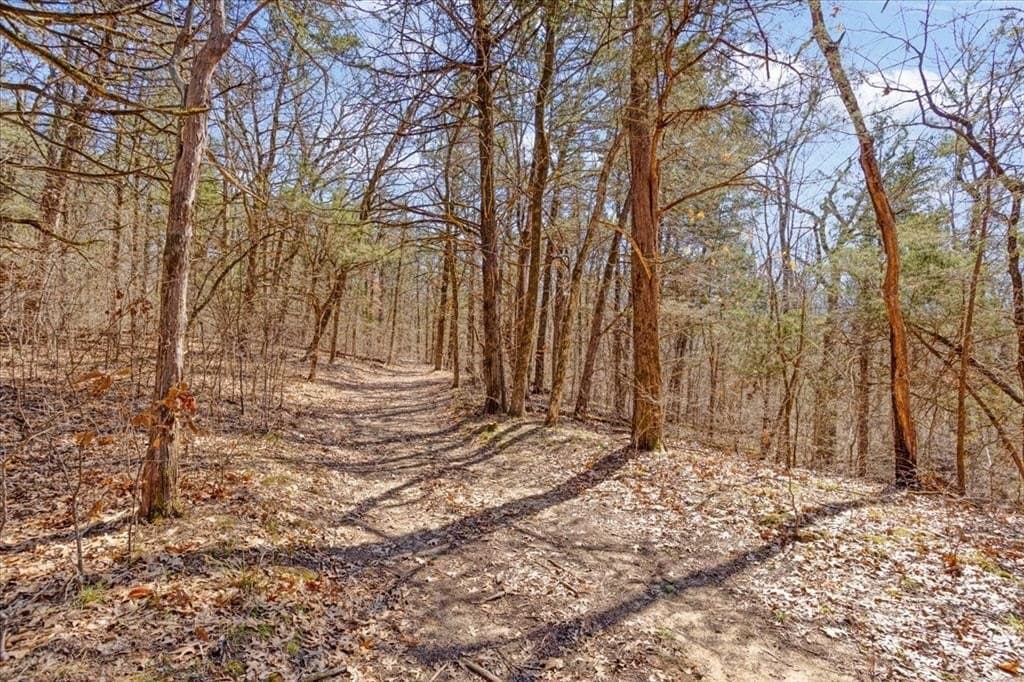 322.62 acres in Fannin County - photo 9