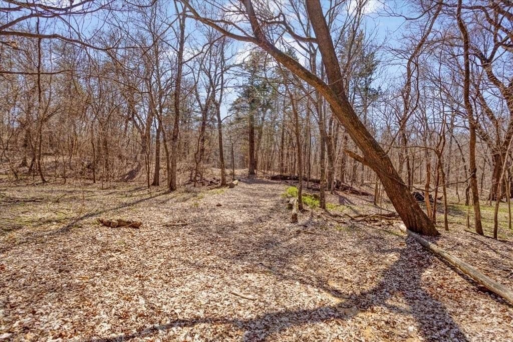 322.62 acres in Fannin County - photo 6