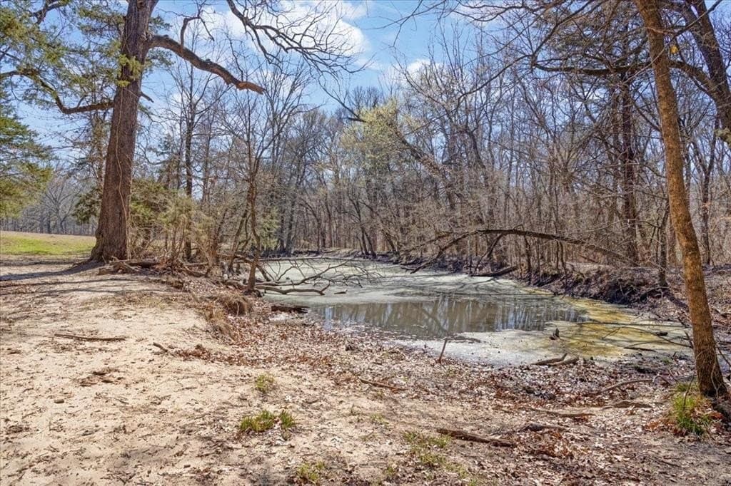 322.62 acres in Fannin County - photo 7