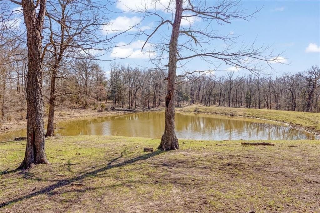322.62 acres in Fannin County - photo 5