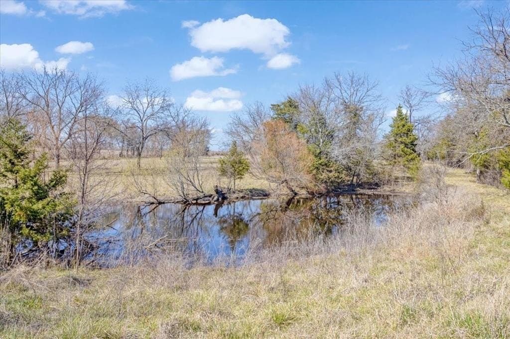 322.62 acres in Fannin County - photo 11