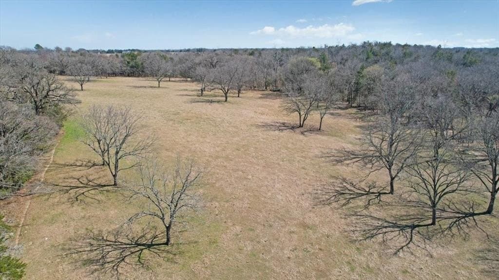 322.62 acres in Fannin County - photo 21