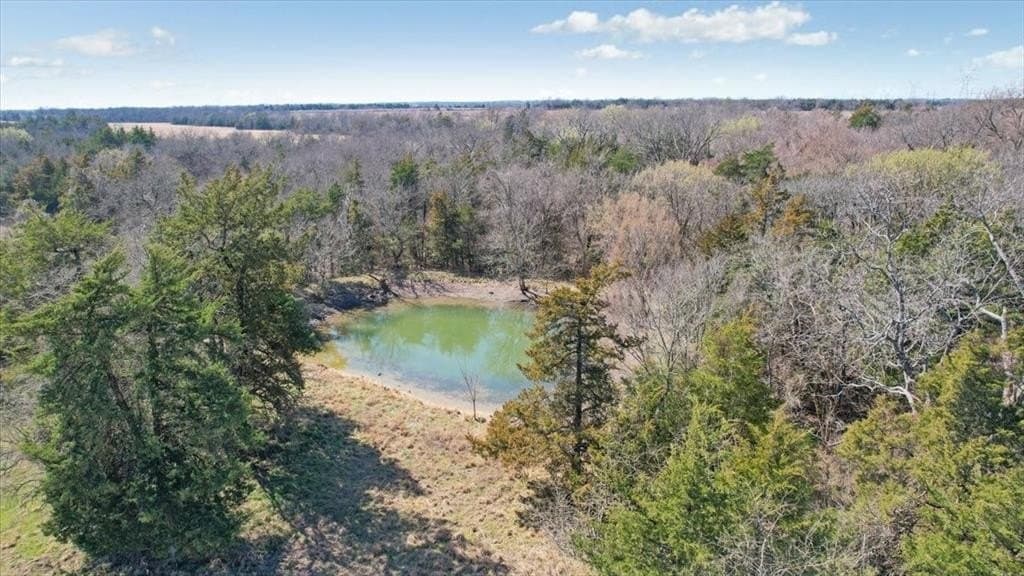 322.62 acres in Fannin County - photo 15