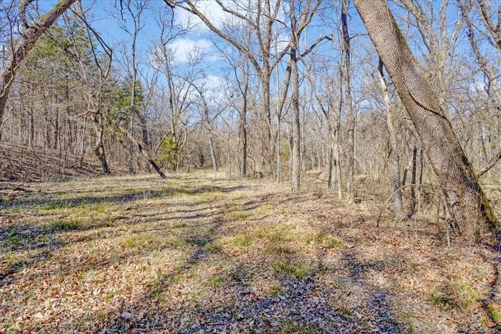 322.62 acres in Fannin County - photo 14