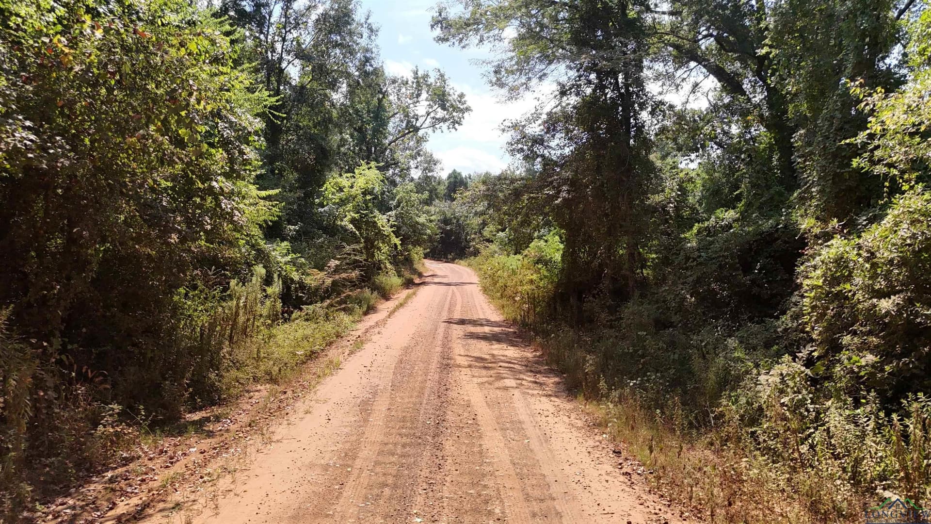 13.31 acres in Texas County - photo 4
