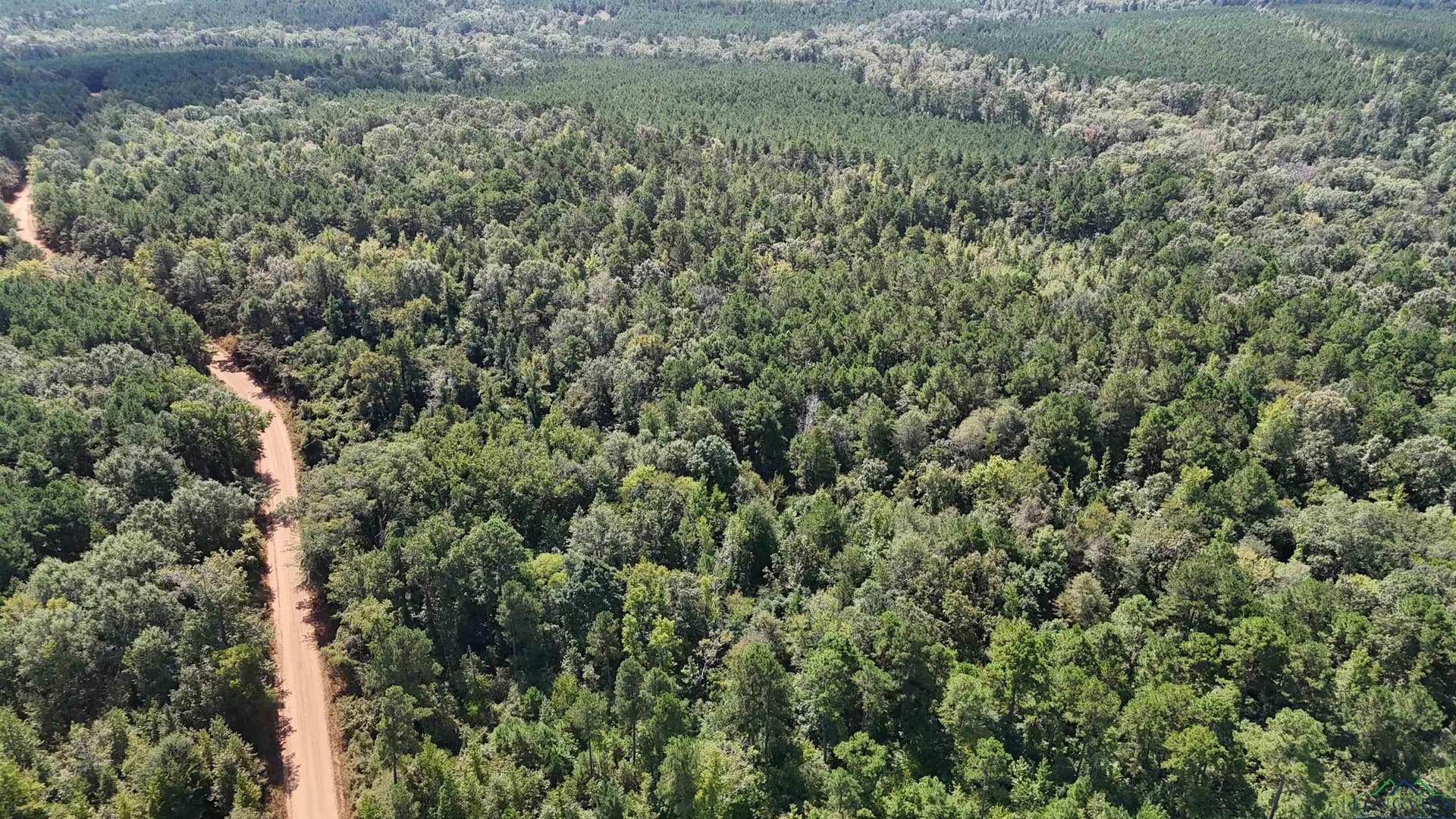 13.31 acres in Texas County - photo 3