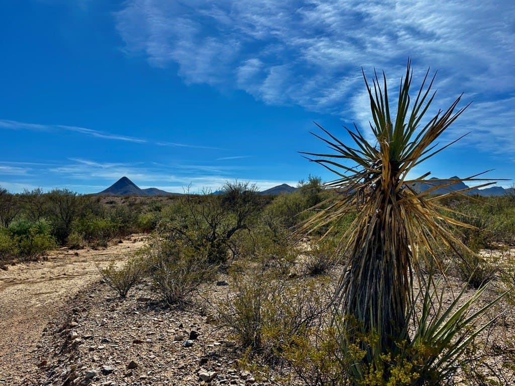 40 acres in Brewster County - photo 4