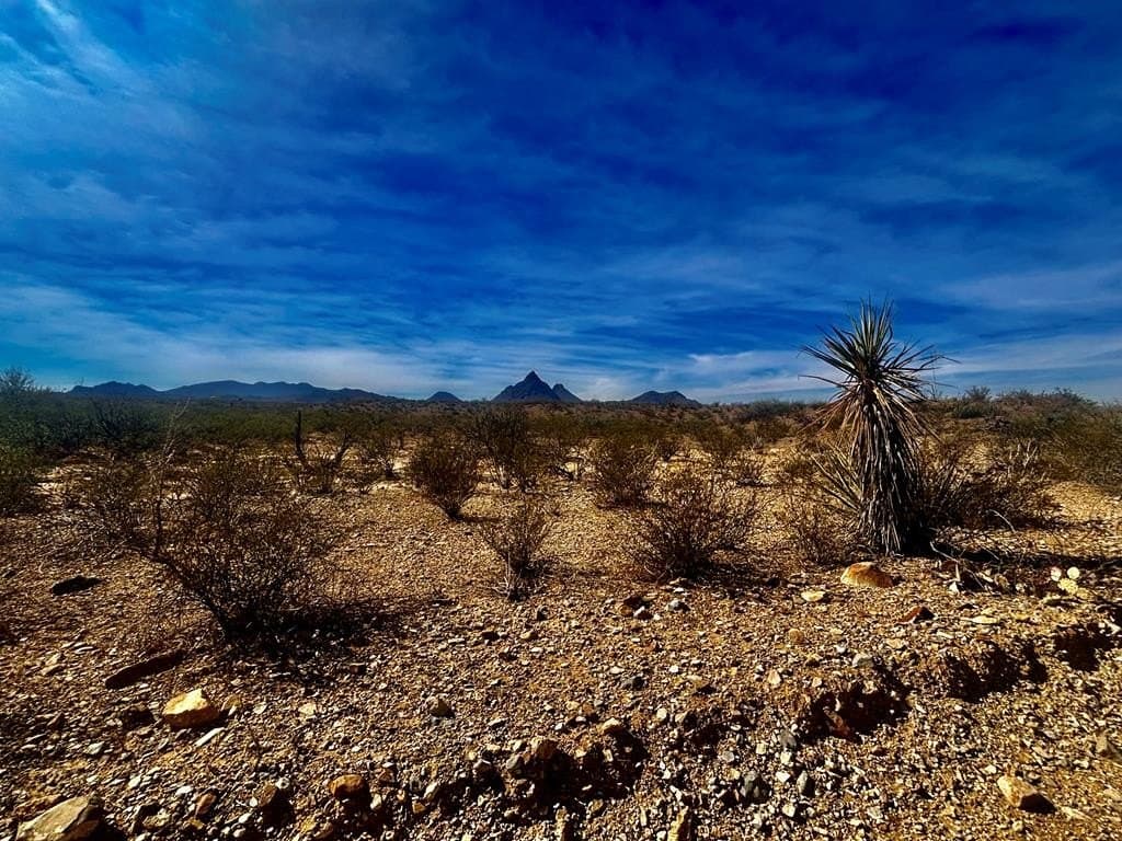 40 acres in Brewster County - photo 17