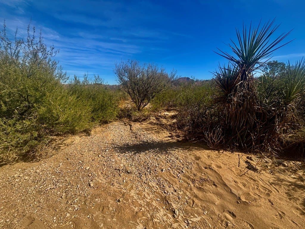 40 acres in Brewster County - photo 11