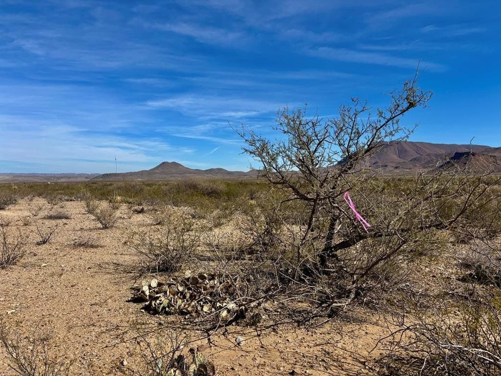 40 acres in Brewster County - photo 32