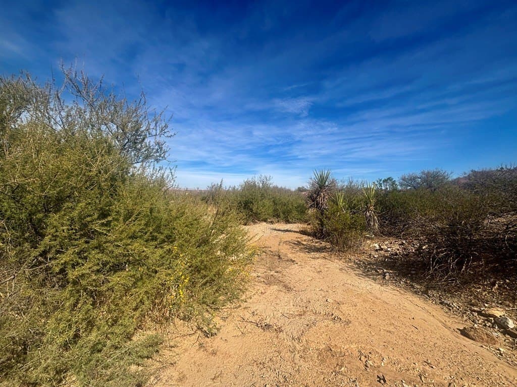 40 acres in Brewster County - photo 12