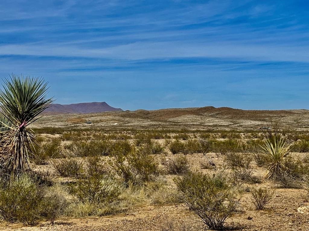 40 acres in Brewster County - photo 30