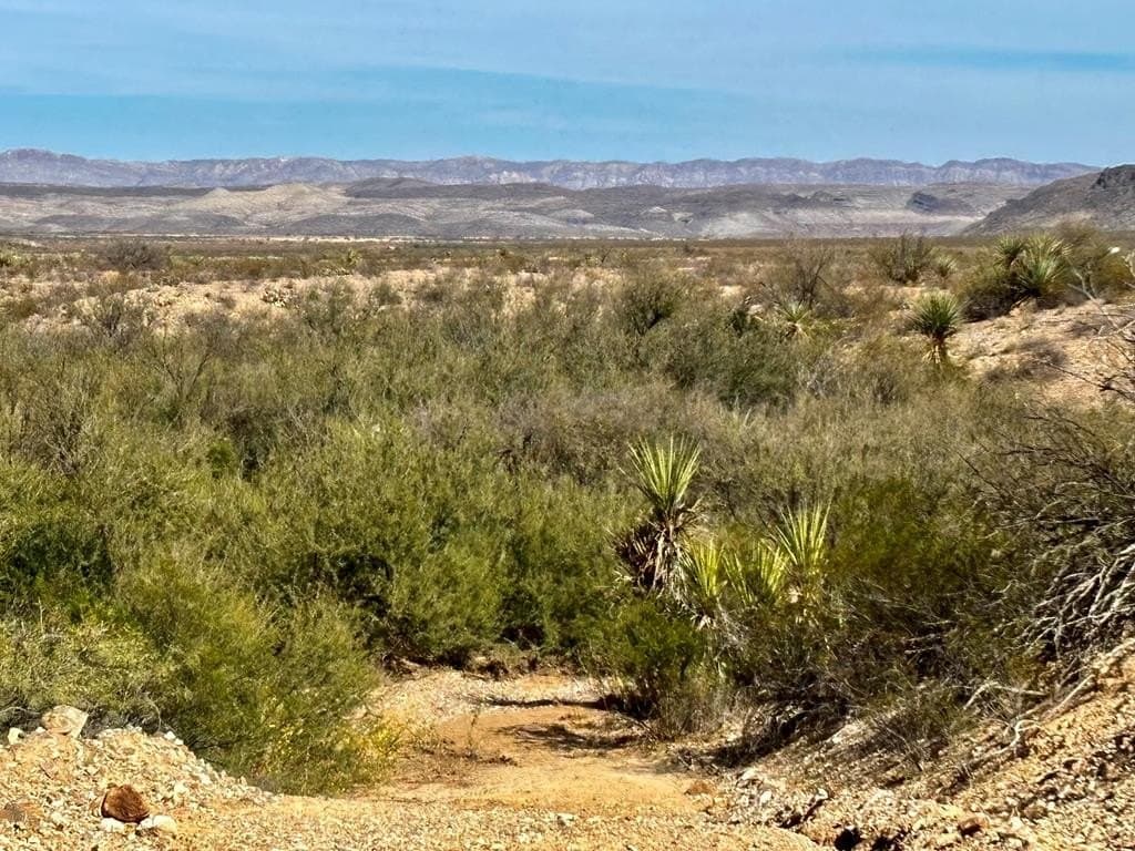 40 acres in Brewster County - photo 10