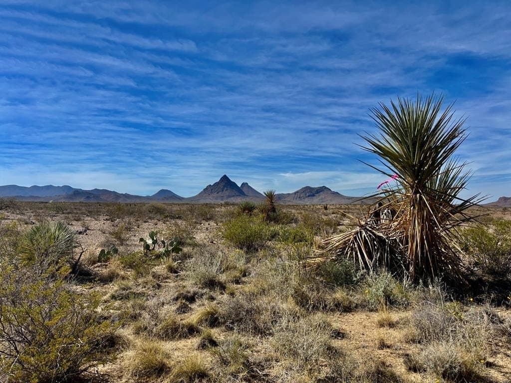 40 acres in Brewster County - photo 2
