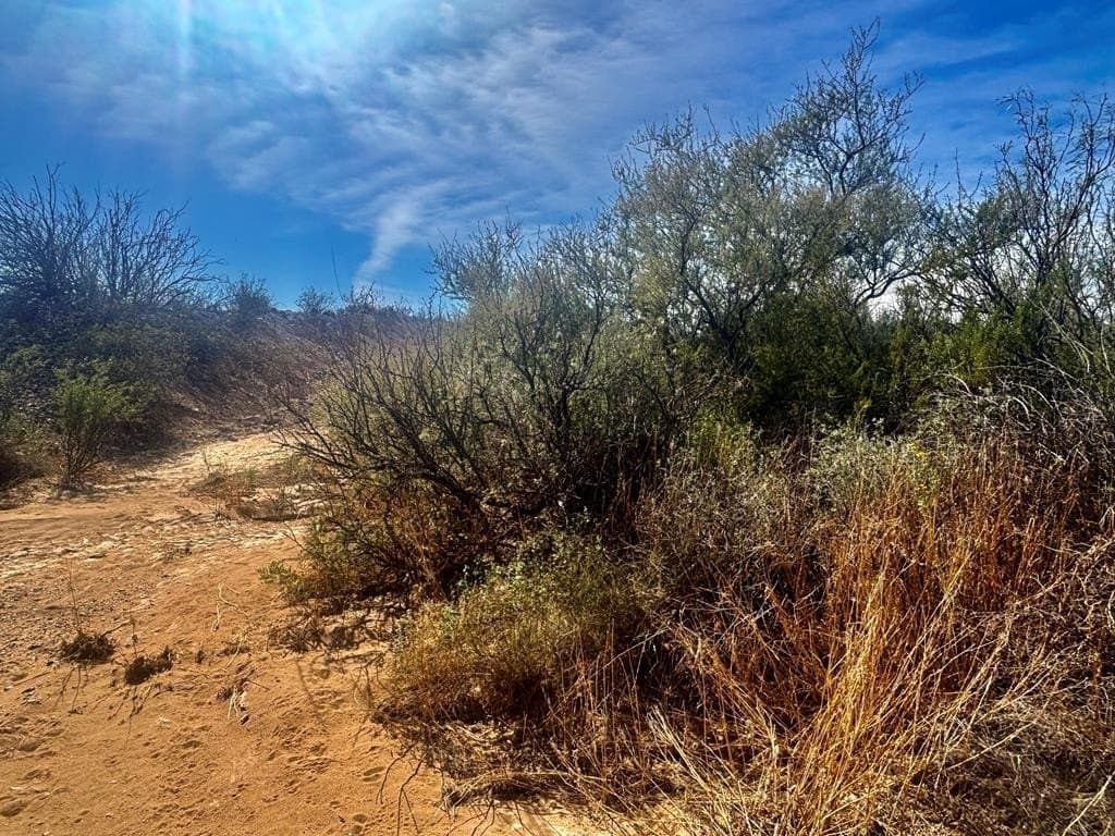 40 acres in Brewster County - photo 18