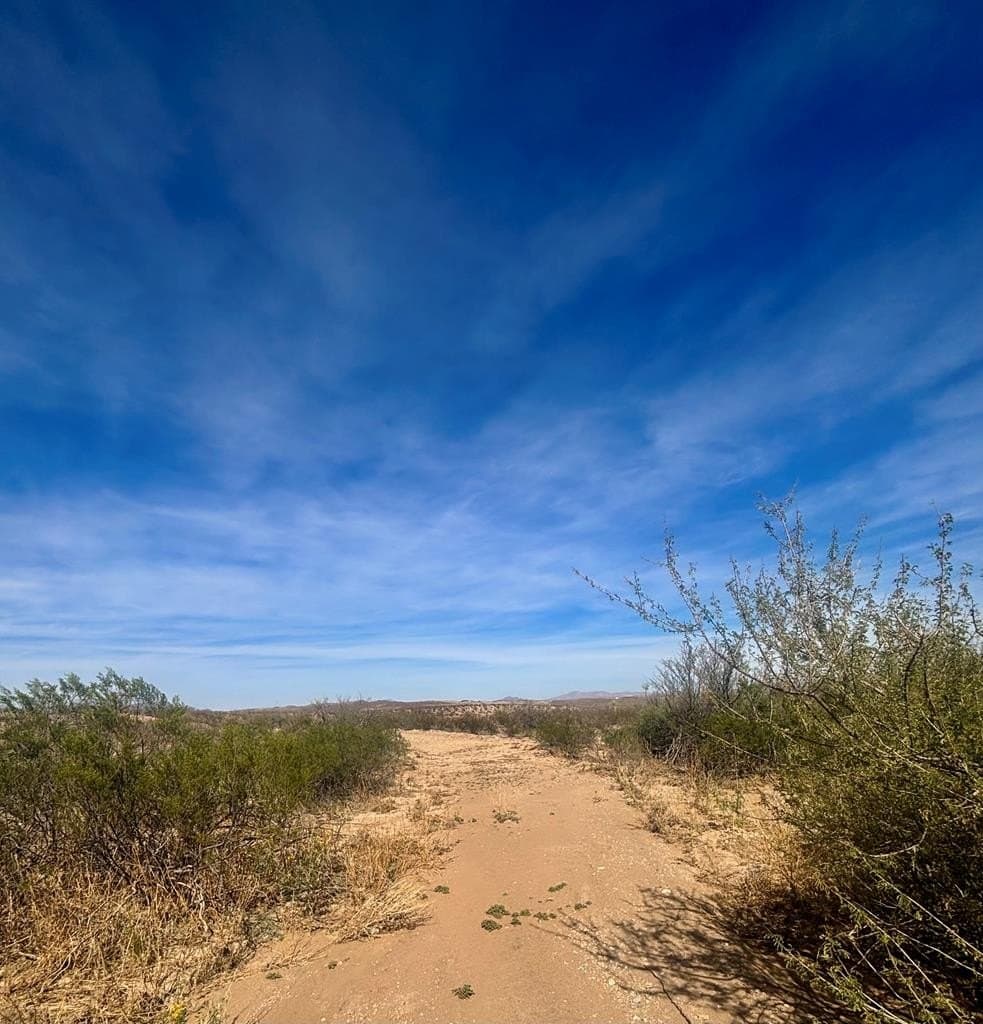 40 acres in Brewster County - photo 20