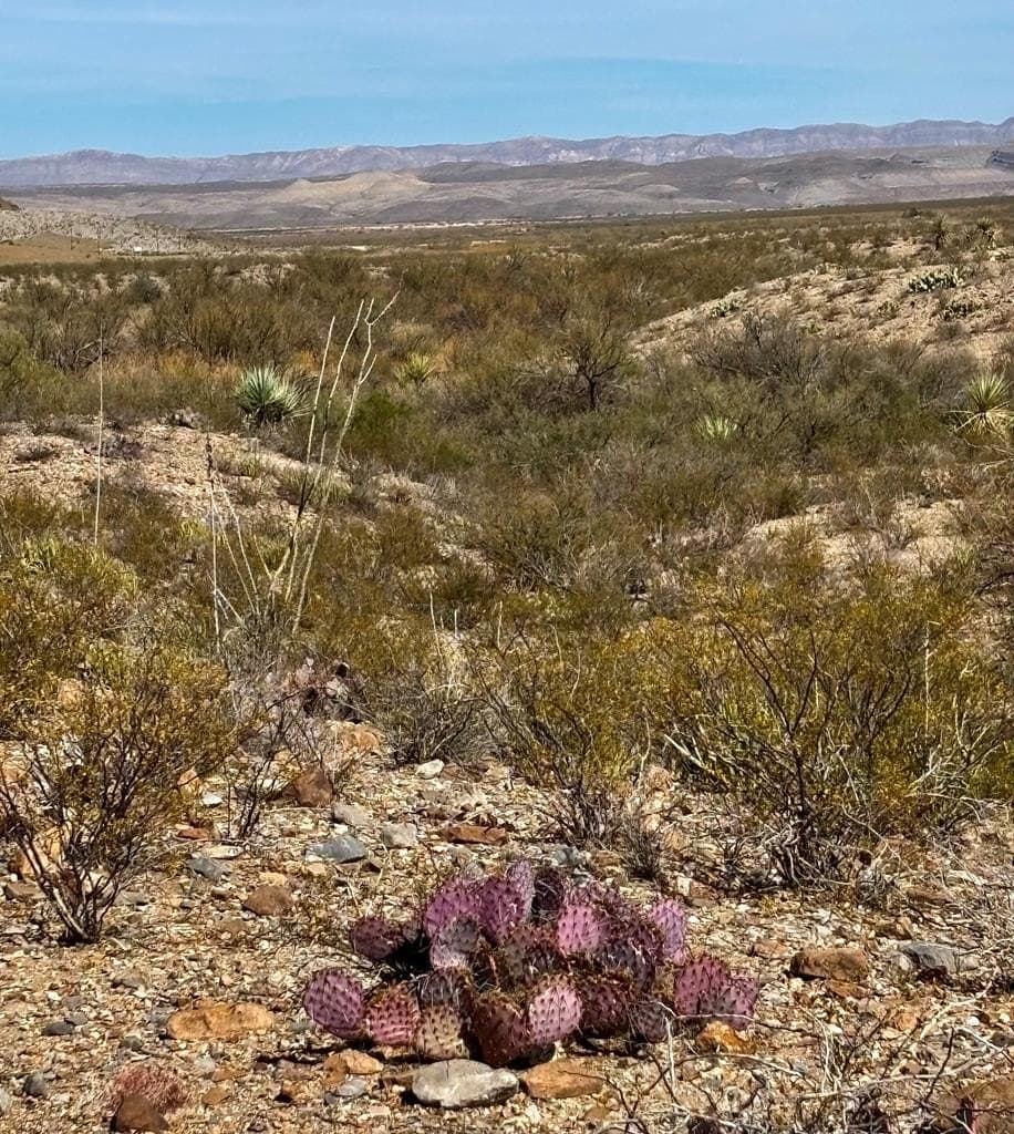 40 acres in Brewster County - photo 15
