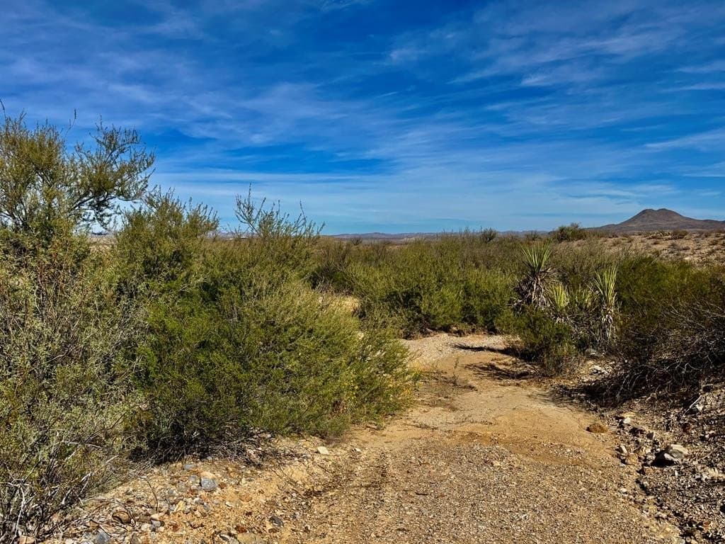 40 acres in Brewster County - photo 22