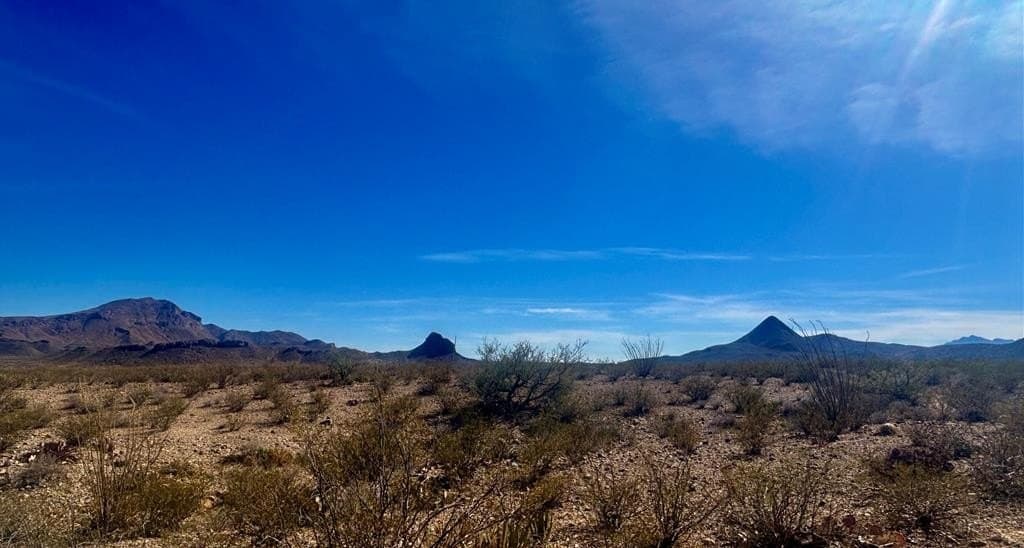 40 acres in Brewster County - photo 13