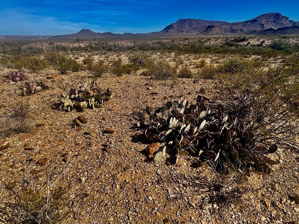 40 acres in Brewster County - photo 8