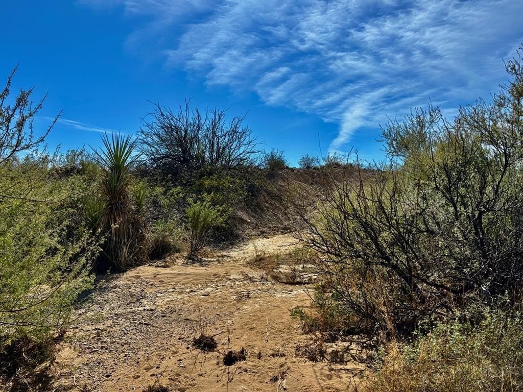 40 acres in Brewster County - photo 19