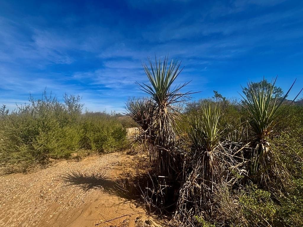 40 acres in Brewster County - photo 21