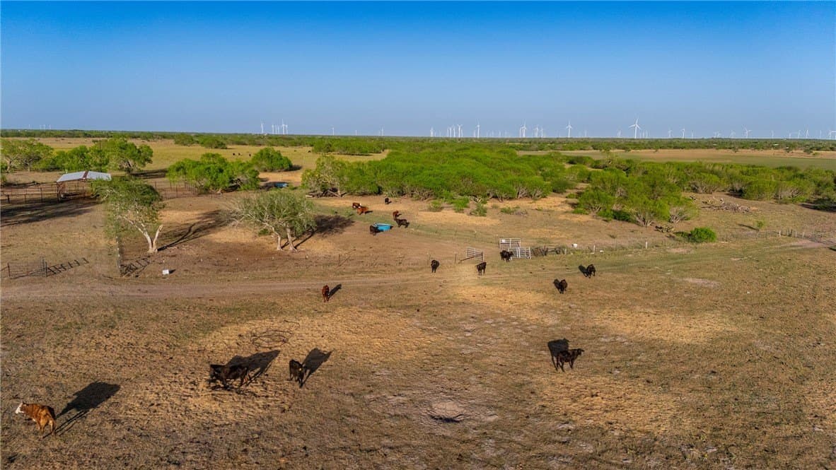 407 acres in Jim Wells County - photo 36