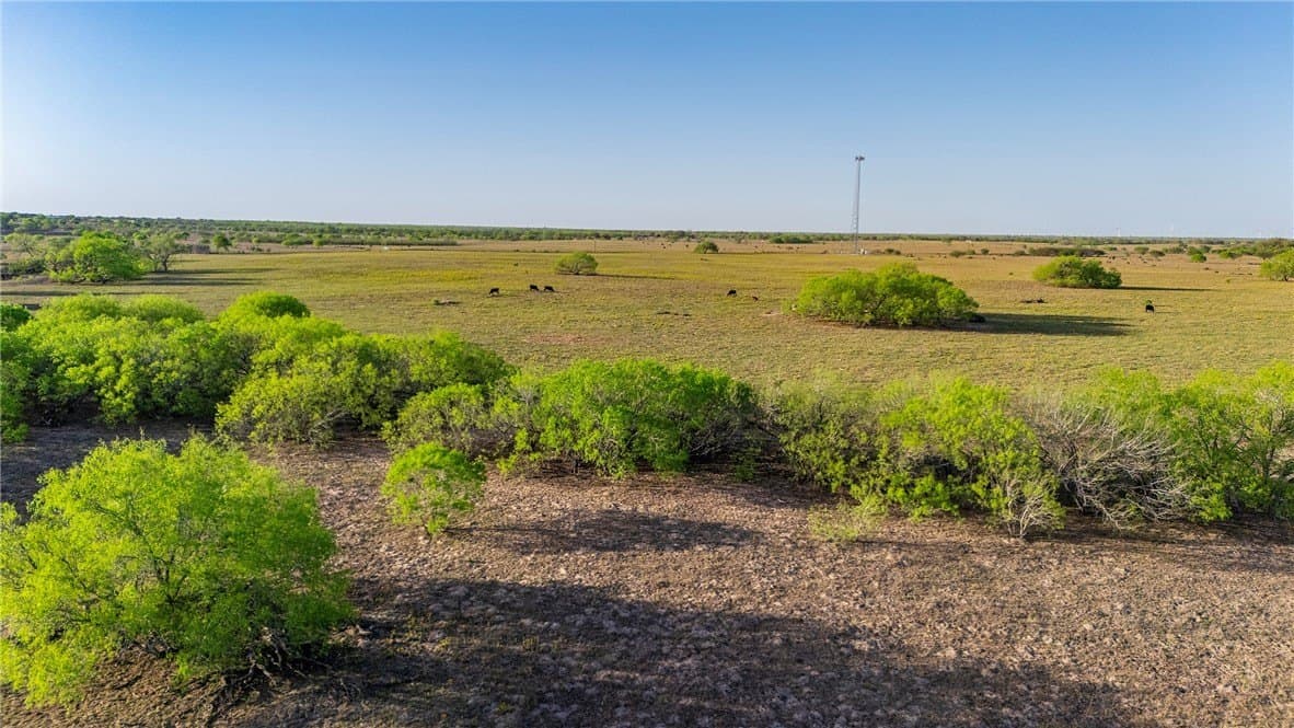 407 acres in Jim Wells County - photo 35
