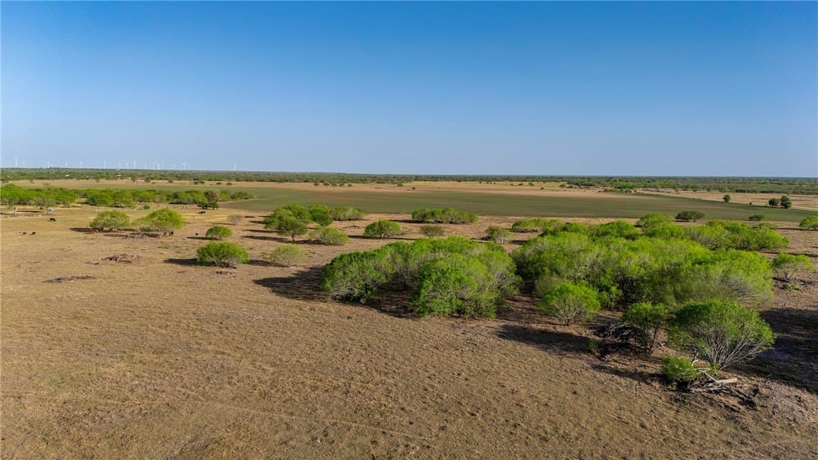 407 acres in Jim Wells County - photo 29