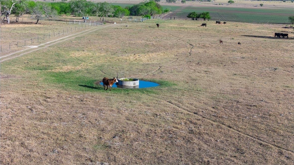 407 acres in Jim Wells County - photo 25