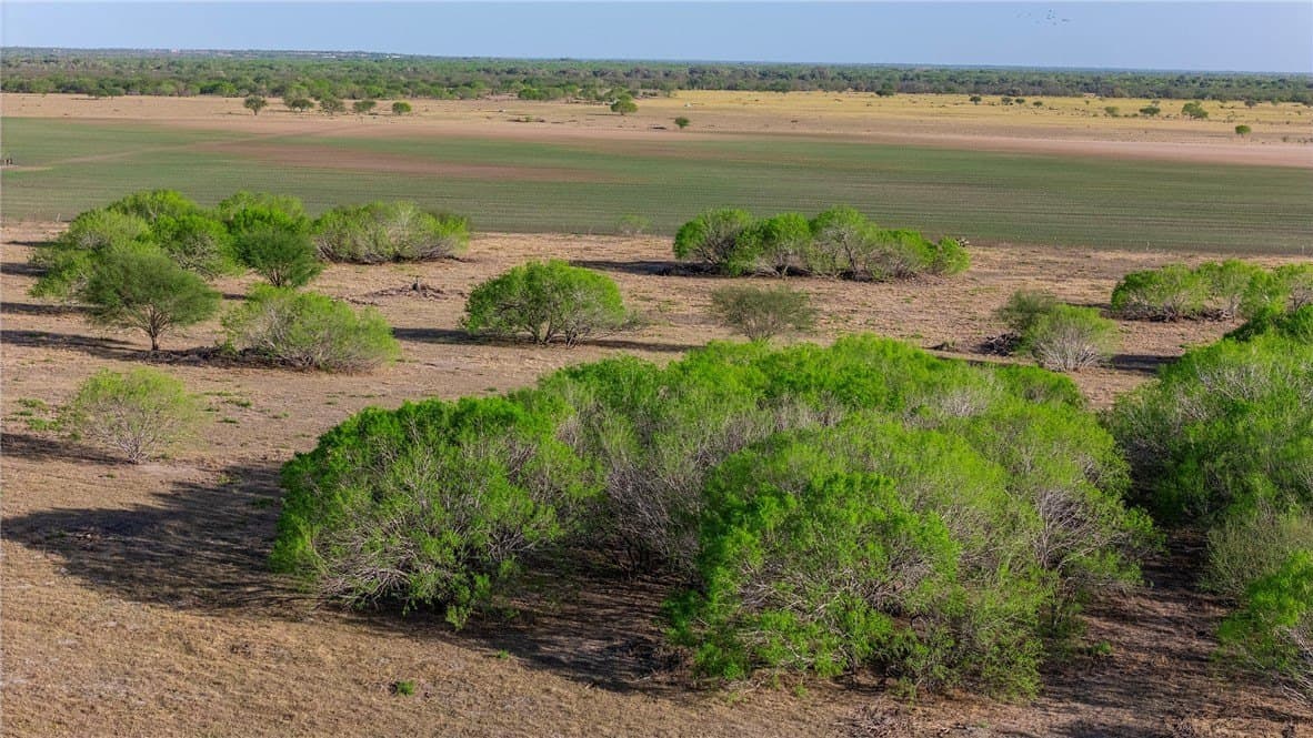 407 acres in Jim Wells County - photo 28