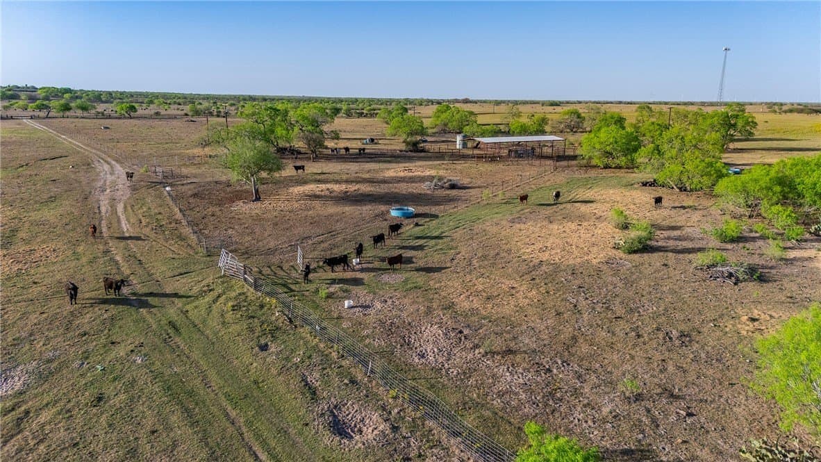 407 acres in Jim Wells County - photo 39