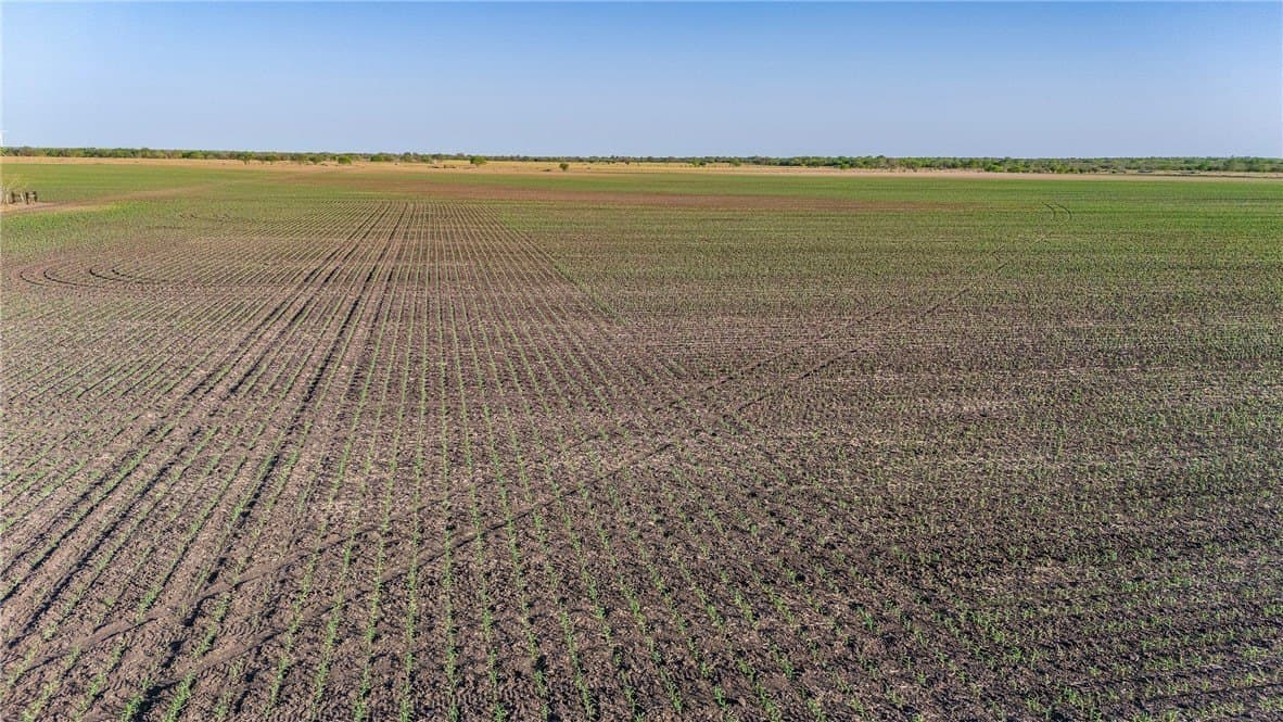 407 acres in Jim Wells County - photo 30