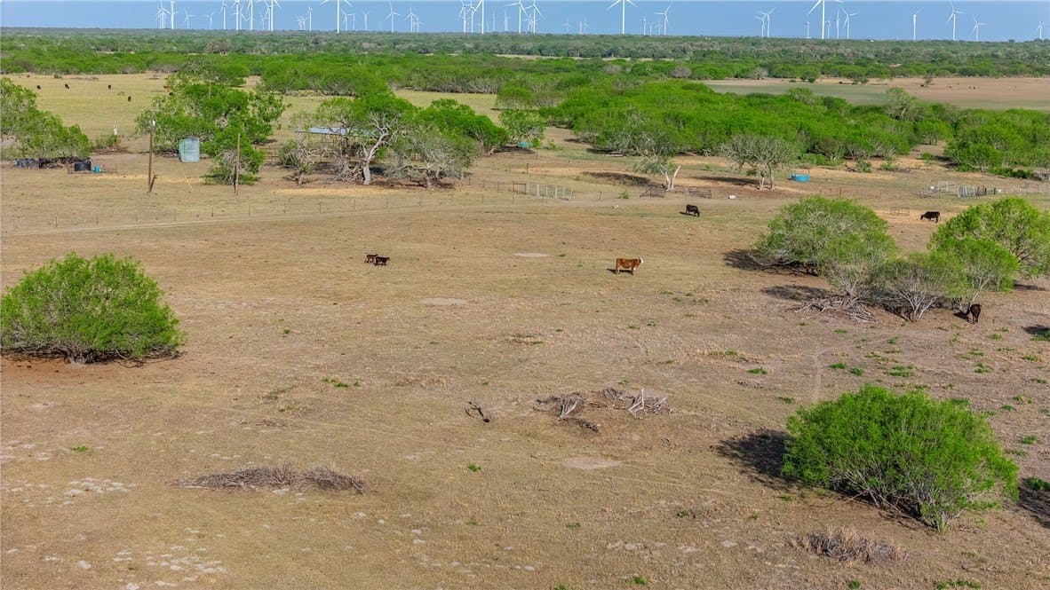 407 acres in Jim Wells County - photo 27