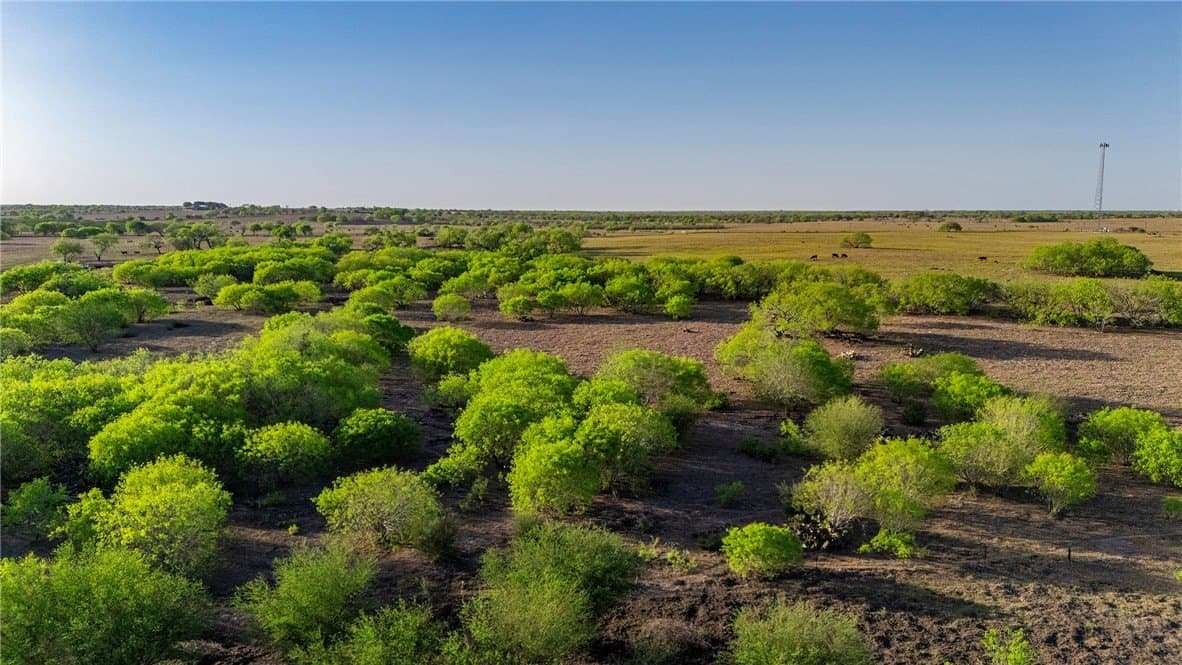 407 acres in Jim Wells County - photo 34