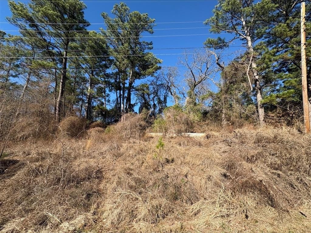 0.12 acres in Smith County - photo 5