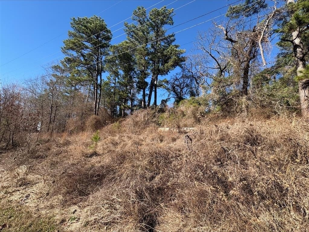 0.12 acres in Smith County - photo 6