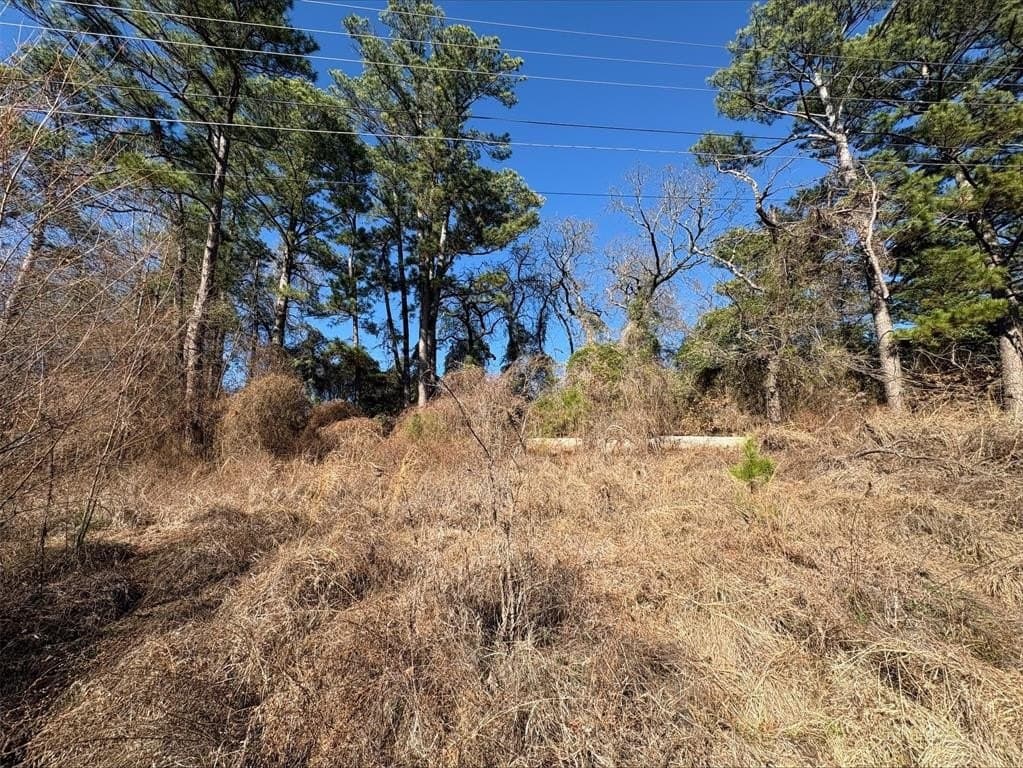 0.12 acres in Smith County - photo 4
